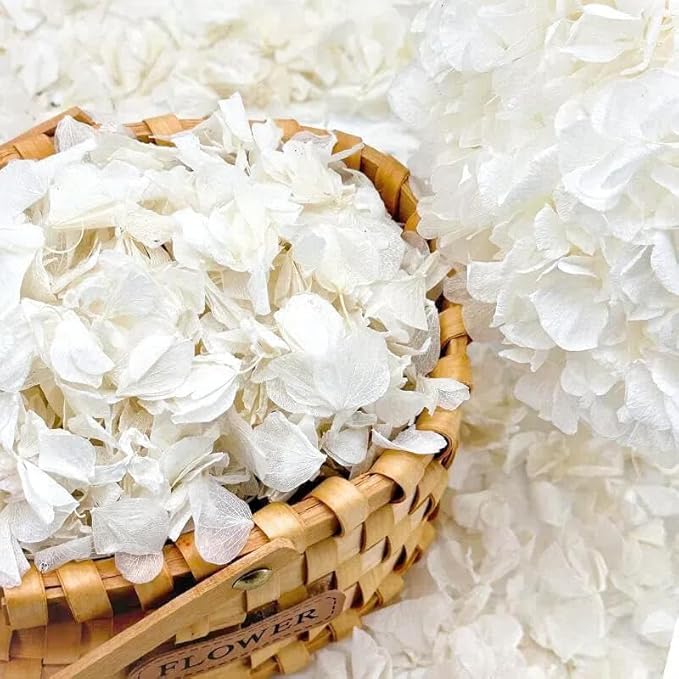 2500+ Real Dried Lvory White Hydrangea Petals - 1.76 oz Preserved Natural Flower Petals for Wedding Decor, Party Confetti, Dinner Table Centerpieces, Handcrafts