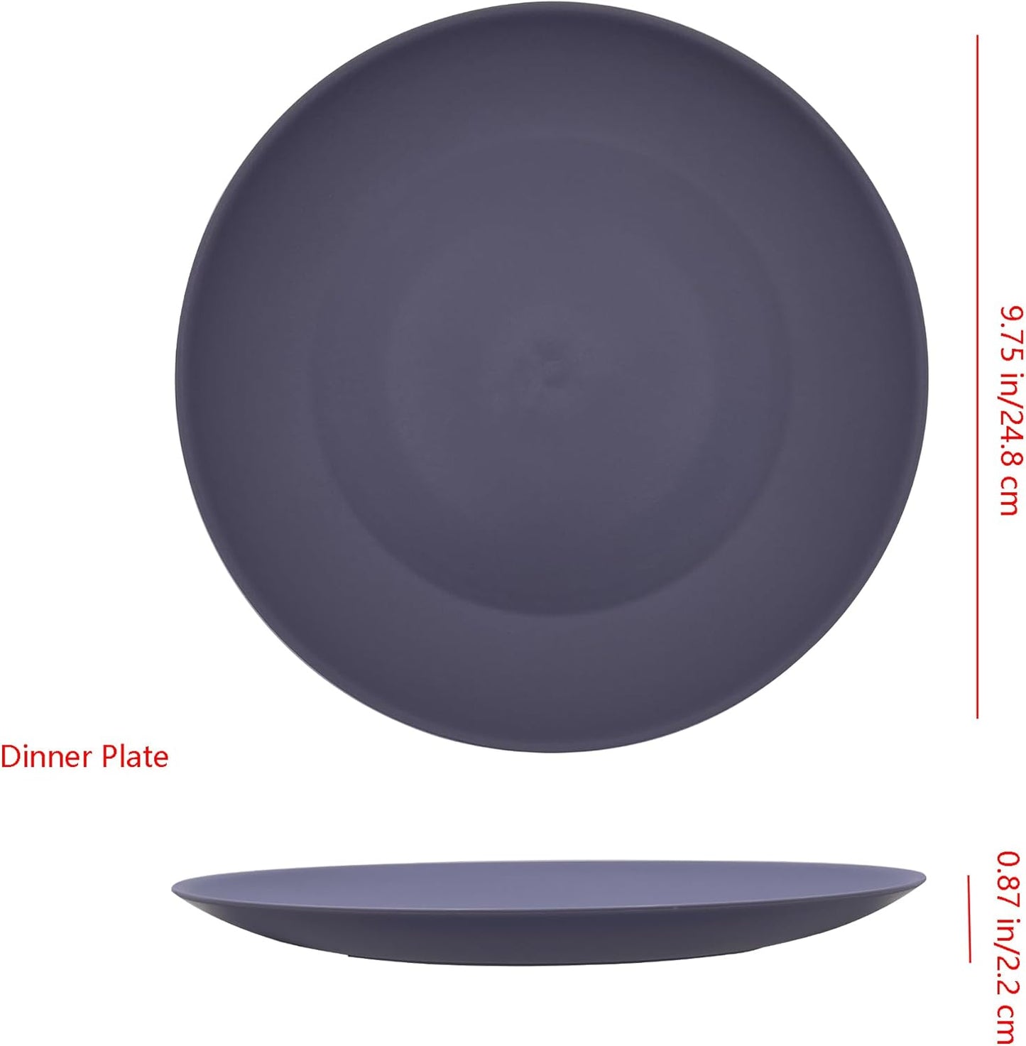 AOYITE Plastic Dinner Plates Reusable, Unbreakable Salad Plates set of 12, BPA Free Microwave & Dishwasher Safe Party Plate for Any Occasion, BBQ, Travel, Events