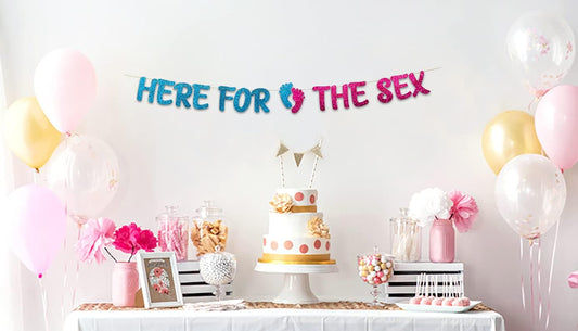 Gender Reveal Party Banner – Pink and Blue Baby Shower Decorations