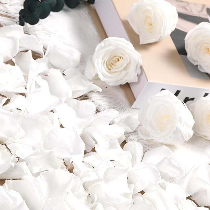 Dried Real Rose Petals, Natural Preserved Dry Flower Petals for Wedding Party Dinner Table Decor, Romantic Night for Her Set, Engagement, Bridal Shower, Valentine's Day, Confetti (1.4oz, White)