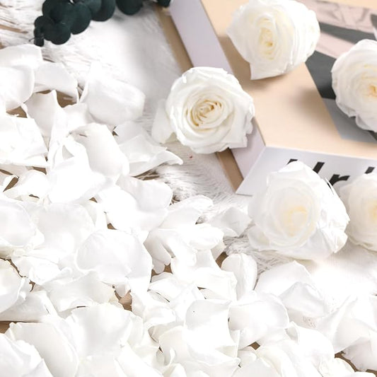 Dried Real Rose Petals, Natural Preserved Dry Flower Petals for Wedding Party Dinner Table Decor, Romantic Night for Her Set, Engagement, Bridal Shower, Valentine's Day, Confetti (1.4oz, White)