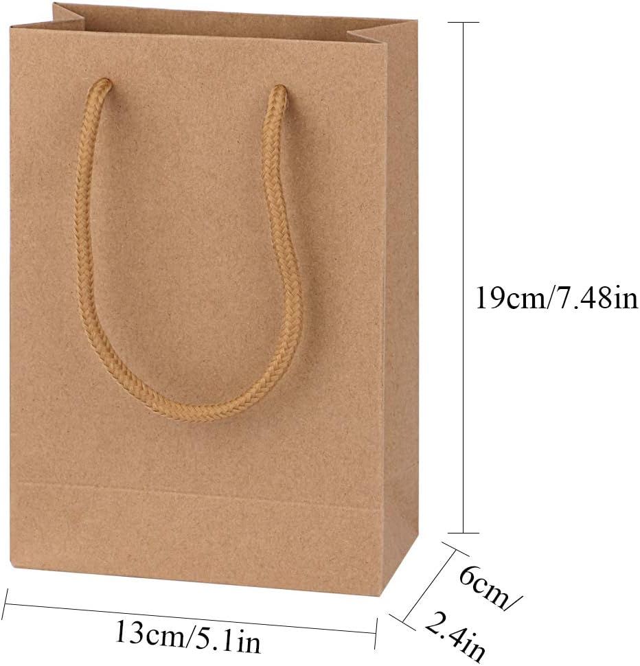 driew Kraft Gift Bags, Small Brown Paper Favor Bags with Handles Gift Bags Kraft Paper Bags 5x2x7.5 inches with Cotton Handle for Party Craft Takeouts Business,Shopping Pack of 50