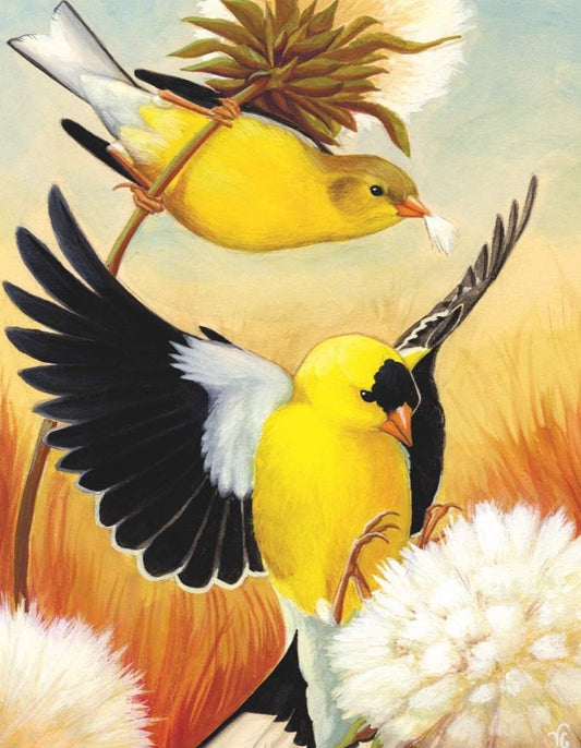 New York Puzzle Company - Cornell Lab American Goldfinch Mini - 100 Piece Jigsaw Puzzle for Family Game Nights by Virginia Greene