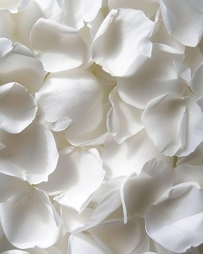 3.5oz REAL Rose Petals, Pearl White Freeze-Dried Petals Biodegradabel Wedding Natural Confetti, Perfectly Preserved Flower Petals for Table Decorations 100g