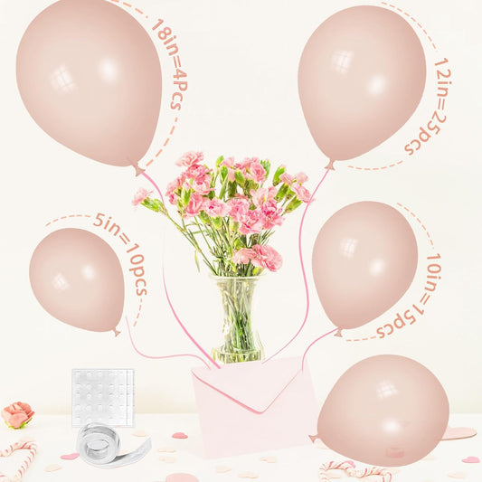 Champagne Balloons - Champagne Balloons Different Sizes 18 12 10 5 Inches, Nude Balloon Garland Arch for Safari Party Birthday Baby Shower Bridal Shower Neutral Decorations