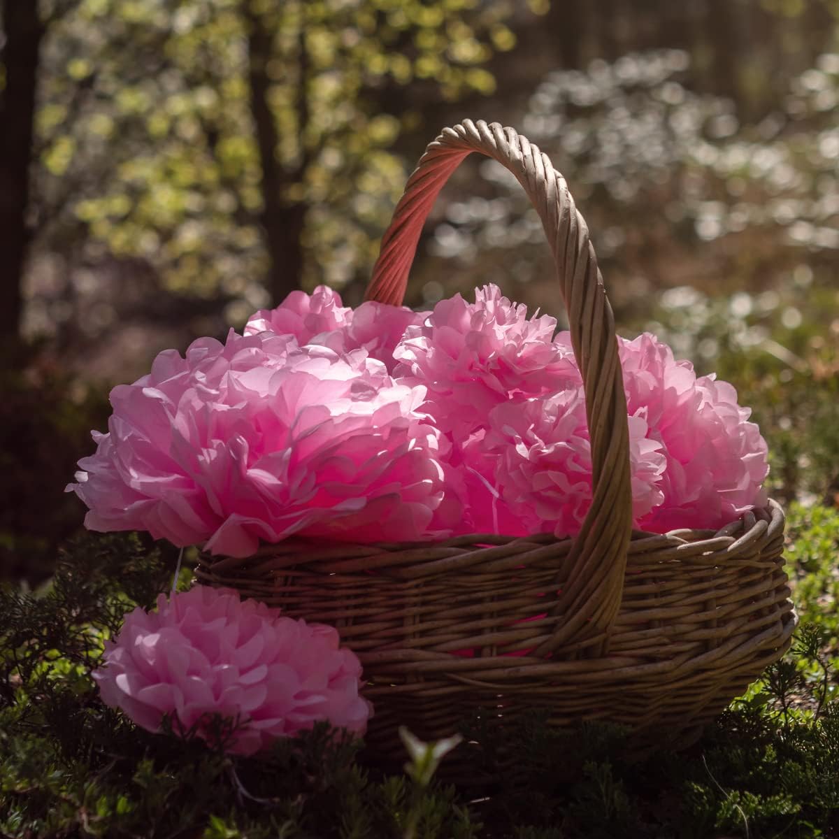 Pink Tissue Paper Pom Poms - Blush Pink Party Decorations for Birthdays, Baby Showers, Engagements, Weddings and Special Occasions by Avoseta (16 Piece Set, Assorted Sizes)