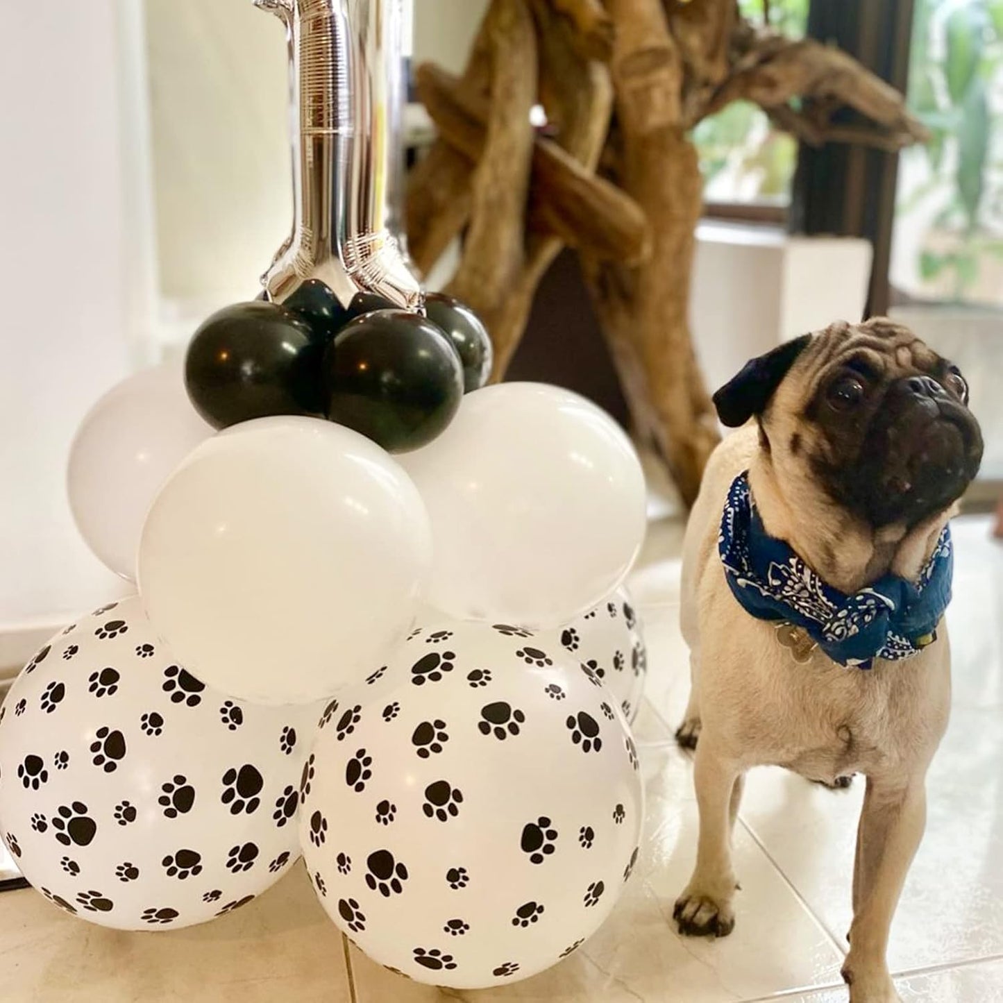 PartyWoo Paw Balloons 50 pcs 12 Inch Matte White Dog Paw Print Latex Helium Balloons for Dog Animals Theme Party Birthday Party Decorations