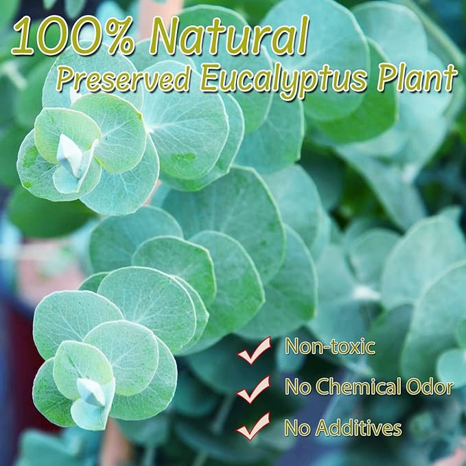 1600+Preserved Real Eucalyptus Leaves Small, Pure Natural Bulk Eucalyptus, Wedding Leaves Confetti for Anniversaries, Birthday, Graduation, Bridal Showers, Baby Shower Party Decor