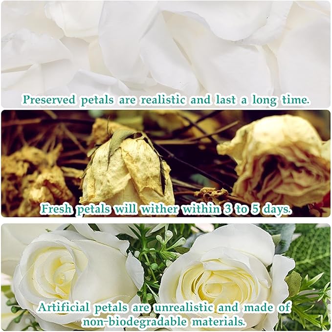Dried Real Rose Petals, Natural Preserved Dry Flower Petals for Wedding Party Dinner Table Decor, Romantic Night for Her Set, Engagement, Bridal Shower, Valentine's Day, Confetti (1.6oz, White)
