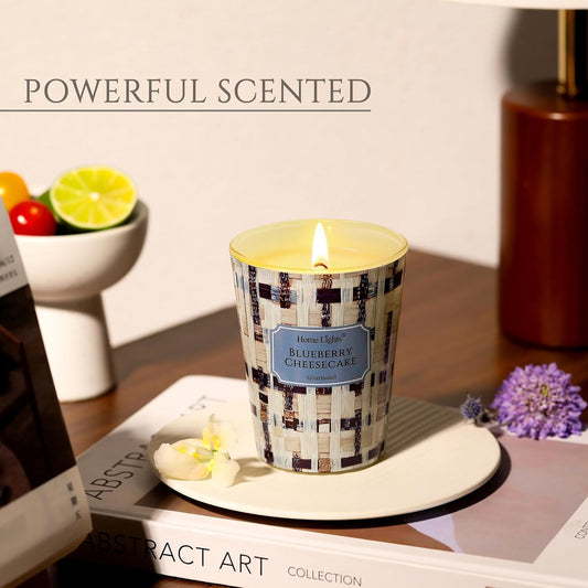HomeLights Scented Candles for Women & Men, 6.7oz Candle Jars Aromatherapy Single Wick Candle, Ideal for Rustic Modern Home Decor and Gifts, Blueberry Cheesecake