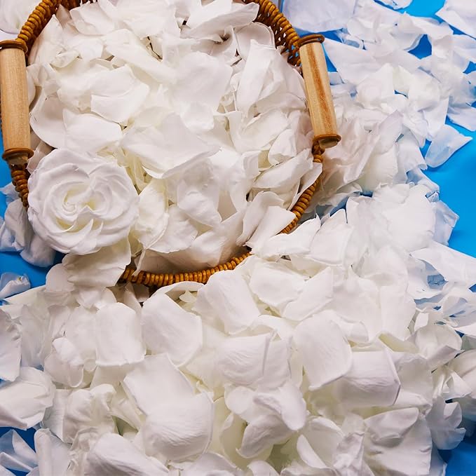 300Pcs Dried Real White Rose Petals, Freeze Preserved Flower Petals 2.8 oz for Gifts Wedding Party Decor, Dinner Table Centerpieces, Bridal Shower, Confetti 80g