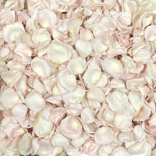 Rose Petals for Wedding Decoration, Bridal Toss, and Aisles, Freeze Dried, Use within 1 month (Bashful, 30 cups)