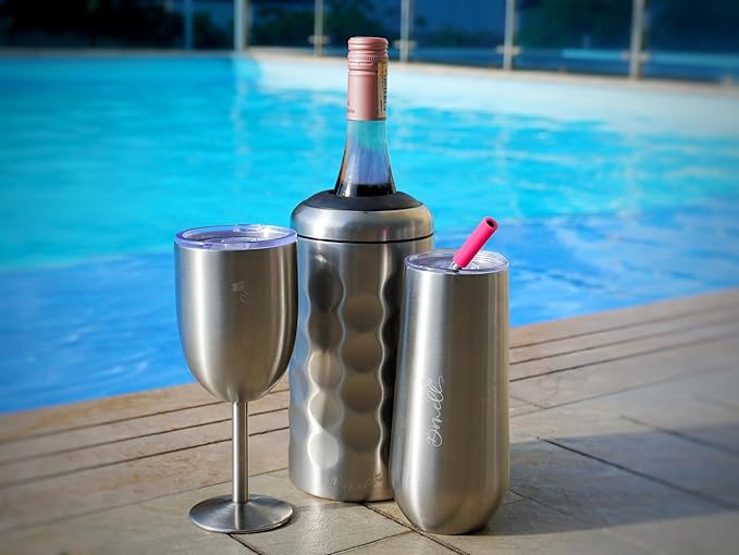 Bonell Champagne Bottle Chiller Gift Set- Portable Stainless Steel Sparkling Wine Cooler with 2 Champagne Flutes (SILVER)