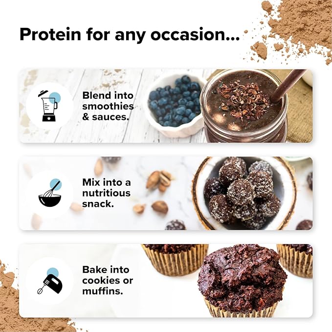 Complement Organic Chocolate Vegan Protein Powder (15 Servings) Low Carb, Low Calorie, Sugar Free, Soy Free, Non-GMO, Non Dairy - Yellow Pea, Pumpkin Seed - 15g Plant Based Protein Powder