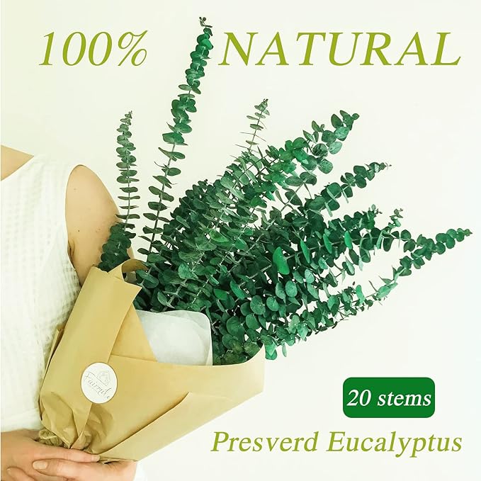 20 Pcs Preserved Dried Eucalyptus Stems, 17" Natural Fresh Eucalyptus Branches for Shower, Real Plant for Vase Filler, Dried Flowers Arrangement, Floral Home Decor