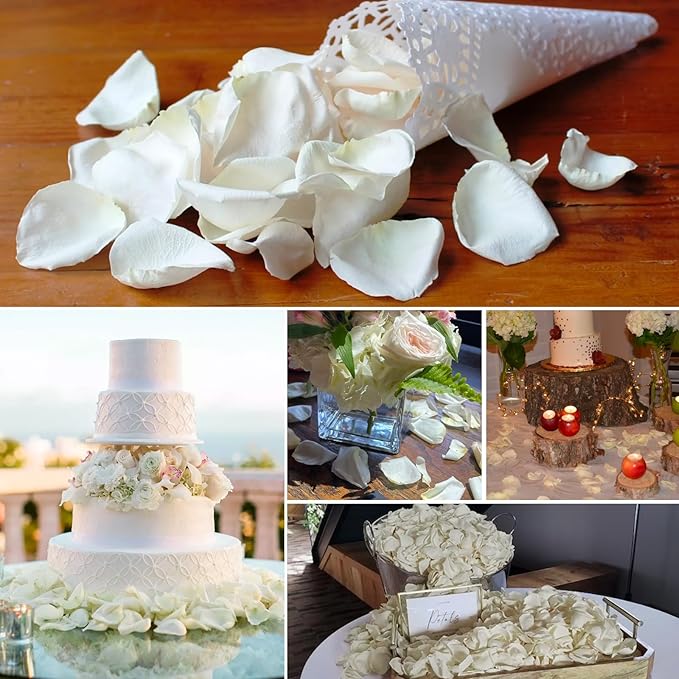 180Pcs Dried Real White Rose Petals, Freeze Preserved Flower Petals 1.75oz for Gifts Wedding Party Decor, Dinner Table Centerpieces, Bridal Shower,Confetti