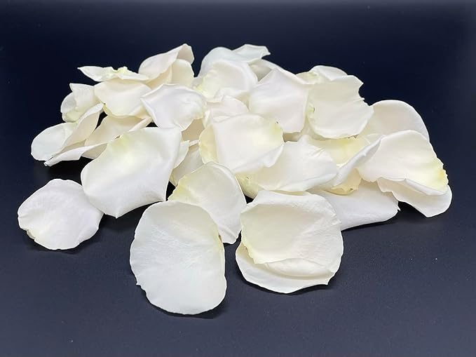 Rose Petals for Wedding Decoration, Bridal Toss, and Aisles, 10 cups, Freeze Dried, Use within 1 month (Ivory)
