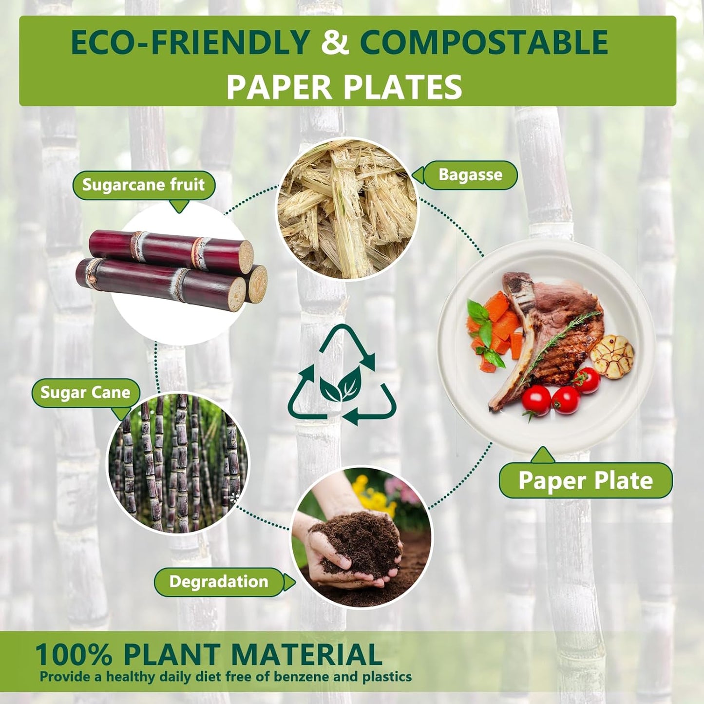 6 Inch Small Paper Plates, 200 Pack Disposable Compostable Dessert Plates Made from Sugarcane Fibers, Eco-Friendly, White