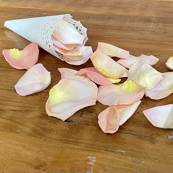 Rose Petals for Wedding Decoration, Bridal Toss, and Aisles, 10 cups, Freeze Dried, Use within 1 month (Seashell)