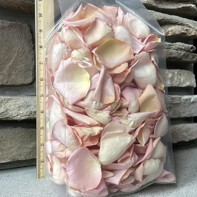 Rose Petals for Wedding Decoration, Bridal Toss, and Aisles, 10 cups, Freeze Dried, Use within 1 month (Seashell)