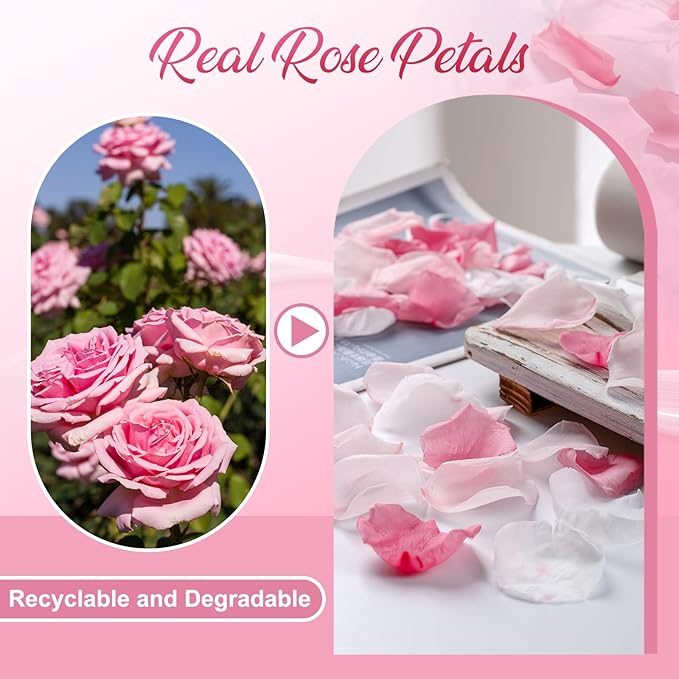 Eslibin 180 PCS Real Pink White Rose Flower Petals Confetti for Wedding to Throw, 1.75oz Freeze Dried Rose Petal for Proposal Centerpieces Romantic Night Decor