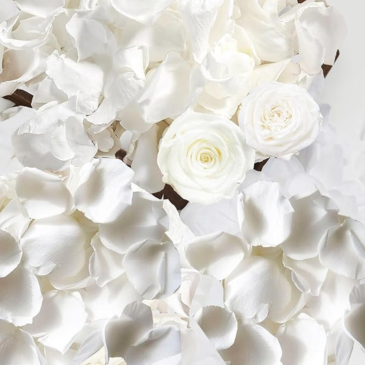 Fortunate Flowers Real White Rose Petals for Flower Girl Basket, 35g/1.2oz Preserved Freeze Real Forever Rose Petals White Flower Petals for Wedding Decor, Proposal, Confetti, Craft