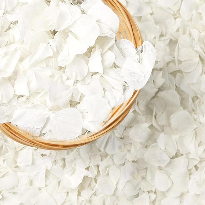 1500pcs Real Dried Ivory White Hydrangea Flower Petals - Natural smal Petals for Wedding, Flower Girl Baskets, Party Confetti, Valentine's Day, Romantic Night, Handcrafts (1.06 oz/30g)