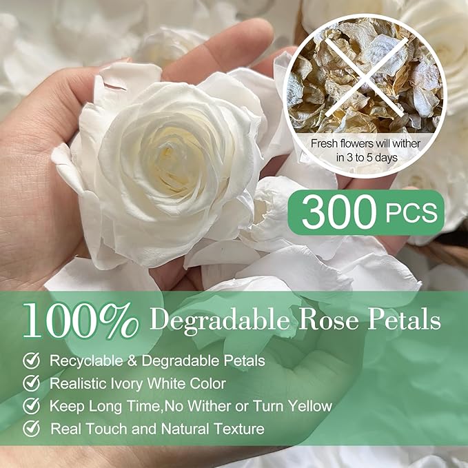 Dried Real White Rose Flower Petals for Wedding, 2.82oz Preserved Dried Ivory Petals for Flower Girl Basket, Dinner Table Centerpieces ,Romantic Night, Proposal Décor(80g)