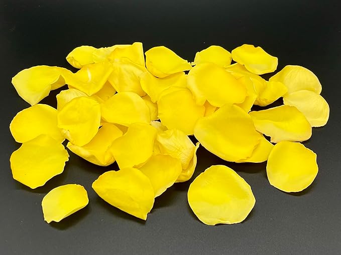 Rose Petals for Wedding Decoration, Bridal Toss, and Aisles, 10 cups, Freeze Dried, Use within 1 month (Yellow)