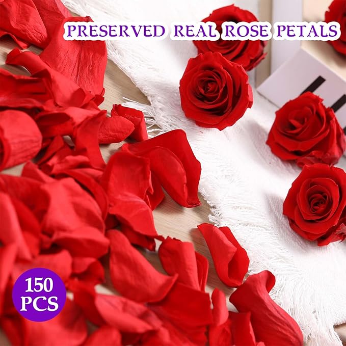Dried Real Rose Petals, Natural Preserved Dry Flower Petals for Wedding Party Dinner Table Decor, Romantic Night for Her Set, Engagement, Bridal Shower, Valentine's Day, Confetti (1.6oz, Red)