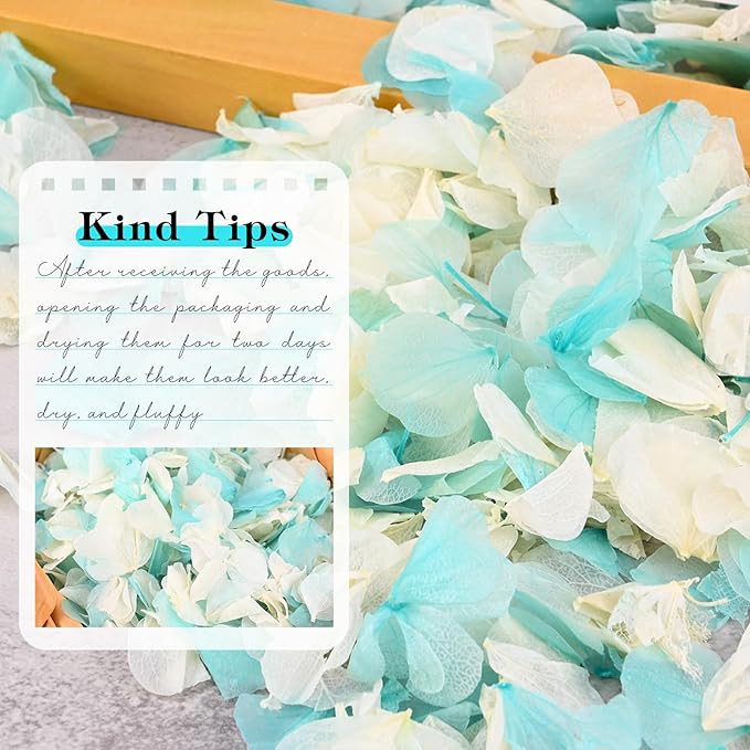 VAIPI 2500 Pieces Hydrangea Flower Petals 1.76 oz Blue White Real Nature Dried Flower Petal for Weddings, Party Flower Confetti, Valentine's Day, Flower Girl Baskets, Romantic Night, Proposal Decor