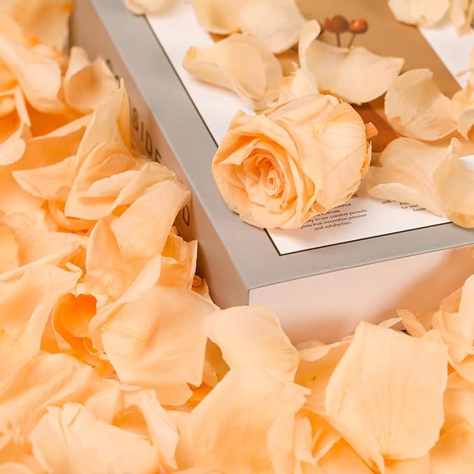 Dried Real Rose Petals, Natural Preserved Dry Flower Petals for Wedding Party Dinner Table Decor, Romantic Night for Her Set, Engagement, Bridal Shower, Valentine's Day, Confetti (1.6oz, Champagne)