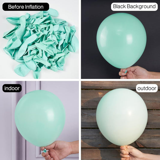 PartyWoo Teal Balloons 50 pcs 12 Inch Pastel Teal Turquoise Peppermint Mint Balloons for Graduation Gender Reveal Baby Shower Wedding Anniversary Birthday Party Decorations Mint-Q03