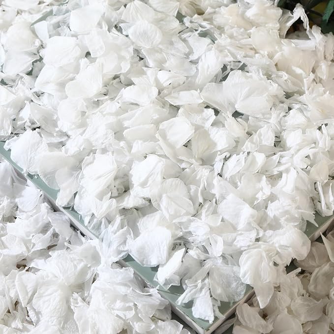 1500+ Dried Real Hydrangea Petals, Natural Preserved Flower Petal for Wedding Party Dinner Table Decor, Romantic Night, Engagement, Bridal Shower, Valentines Day, Confetti (1.1oz, White)