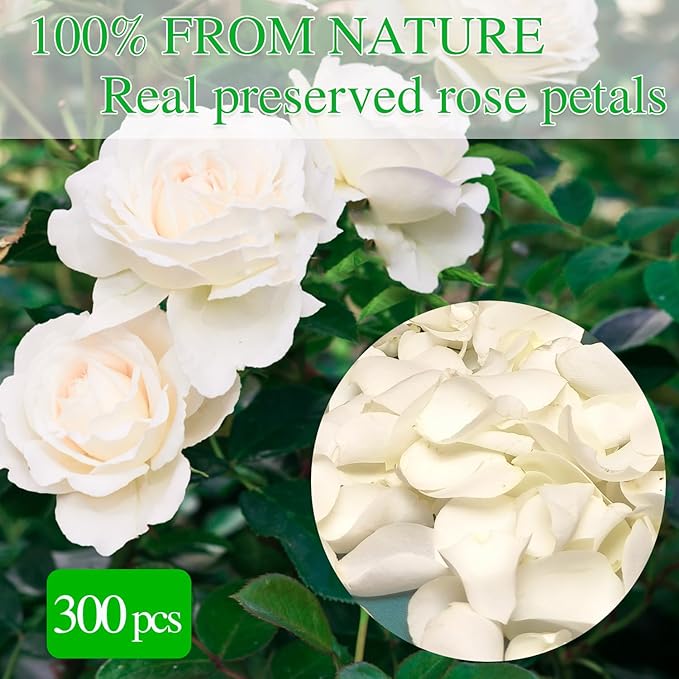 300Pcs Dried Real White Rose Petals, Freeze Preserved Flower Petals 2.8 oz for Gifts Wedding Party Decor, Dinner Table Centerpieces, Bridal Shower, Confetti 80g
