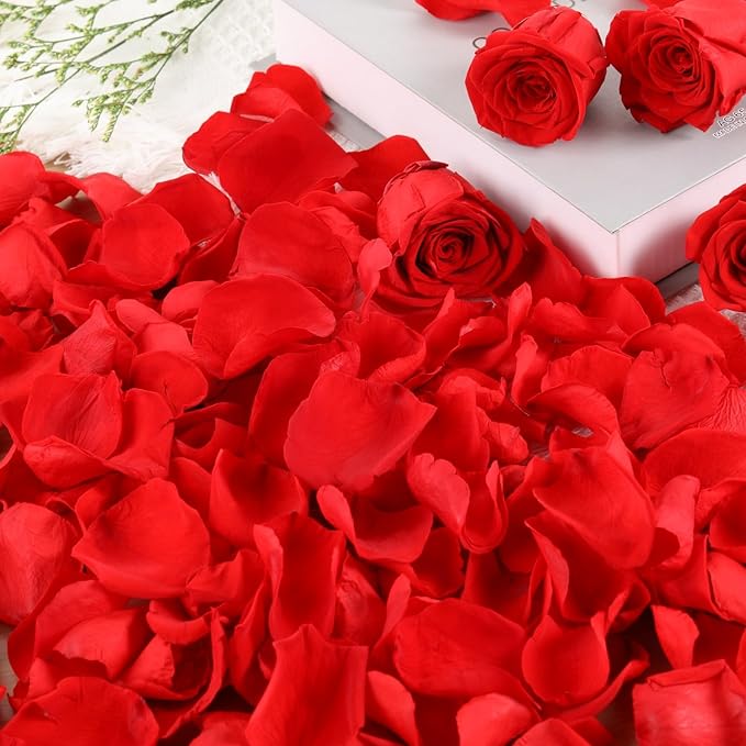 Dried Real Rose Petals, Preserved Flower Petals Confetti for Wedding, Romantic Night for Her Set, Engagement, Bridal Shower, Valentine's Day, Flower Girl Party Dinner Table Decor (3oz, Red)