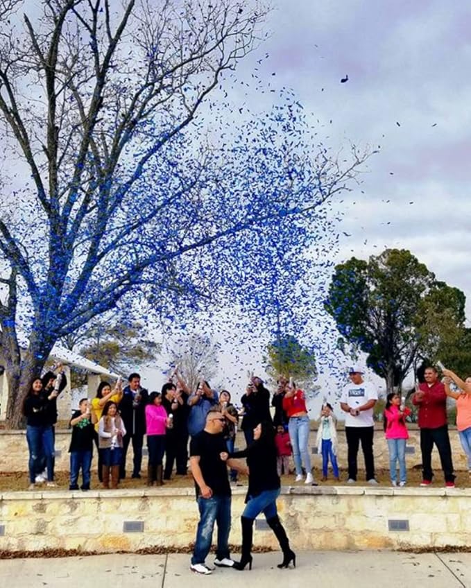 Gender Reveal Confetti Launcher Single Unit (Blue)