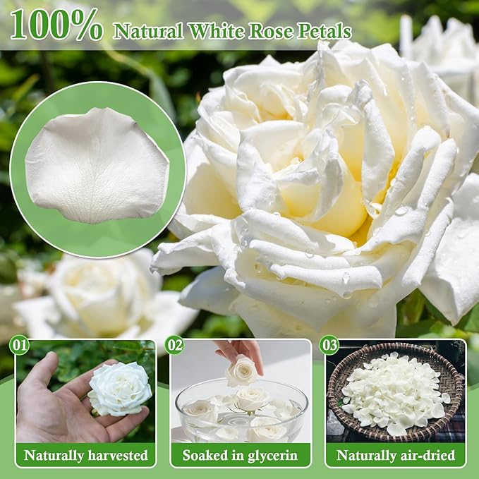 1000+ PCS Real White Rose Petals, 7.76oz (220g) Preserved White Flower Petal for Wedding Flower Girl, Dried Flower Petal for Babyshower Bridal Party Aisle Table Scatter Decor