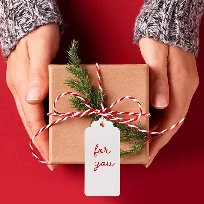 G2PLUS White Gift Tags with String, 2'' x 4'' Paper Gift Tag, 100PCS Rectangle Blank Tags with Holes for Arts and Crafts, Wedding,Holiday,Christmas Gift Wrapping, Party Decor