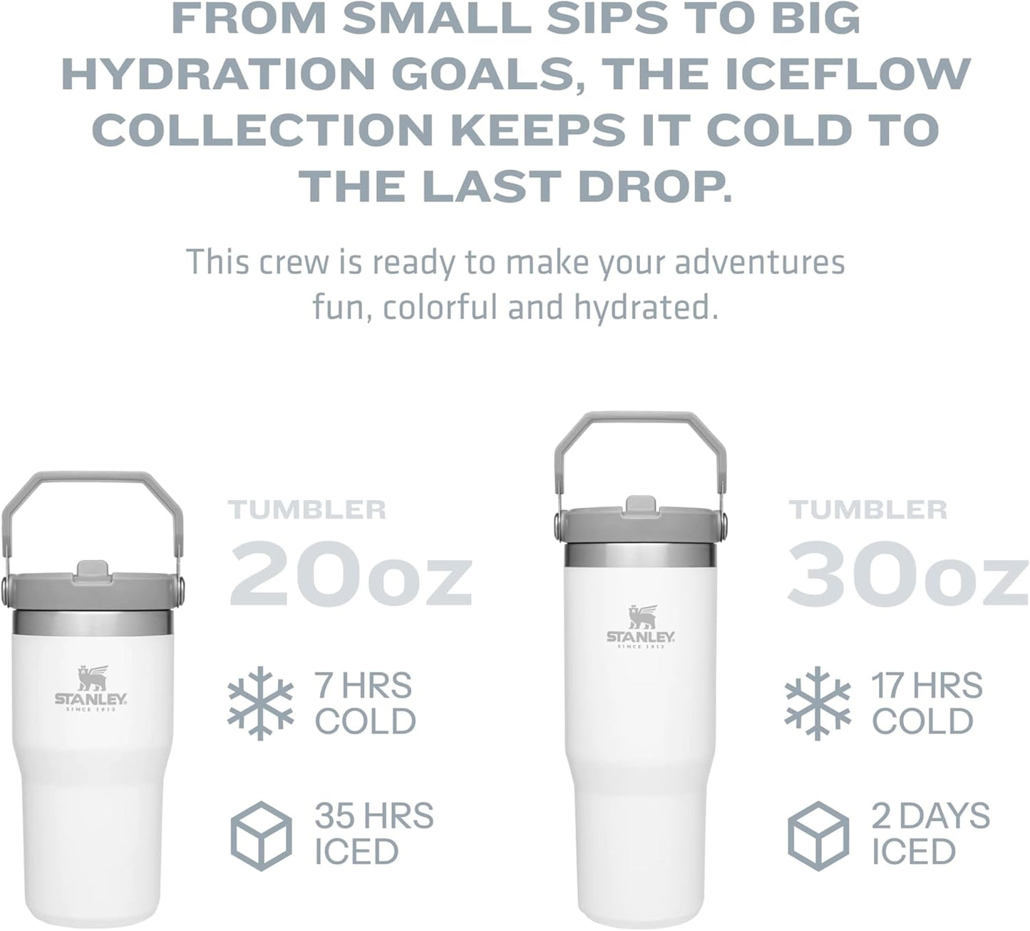 Stanley IceFlow Flip Straw Tumbler with Handle 30 oz | Twist On Lid and Flip Up Straw | Leak Resistant Water Bottle | Insulated Stainless Steel |BPA-Free | Polar