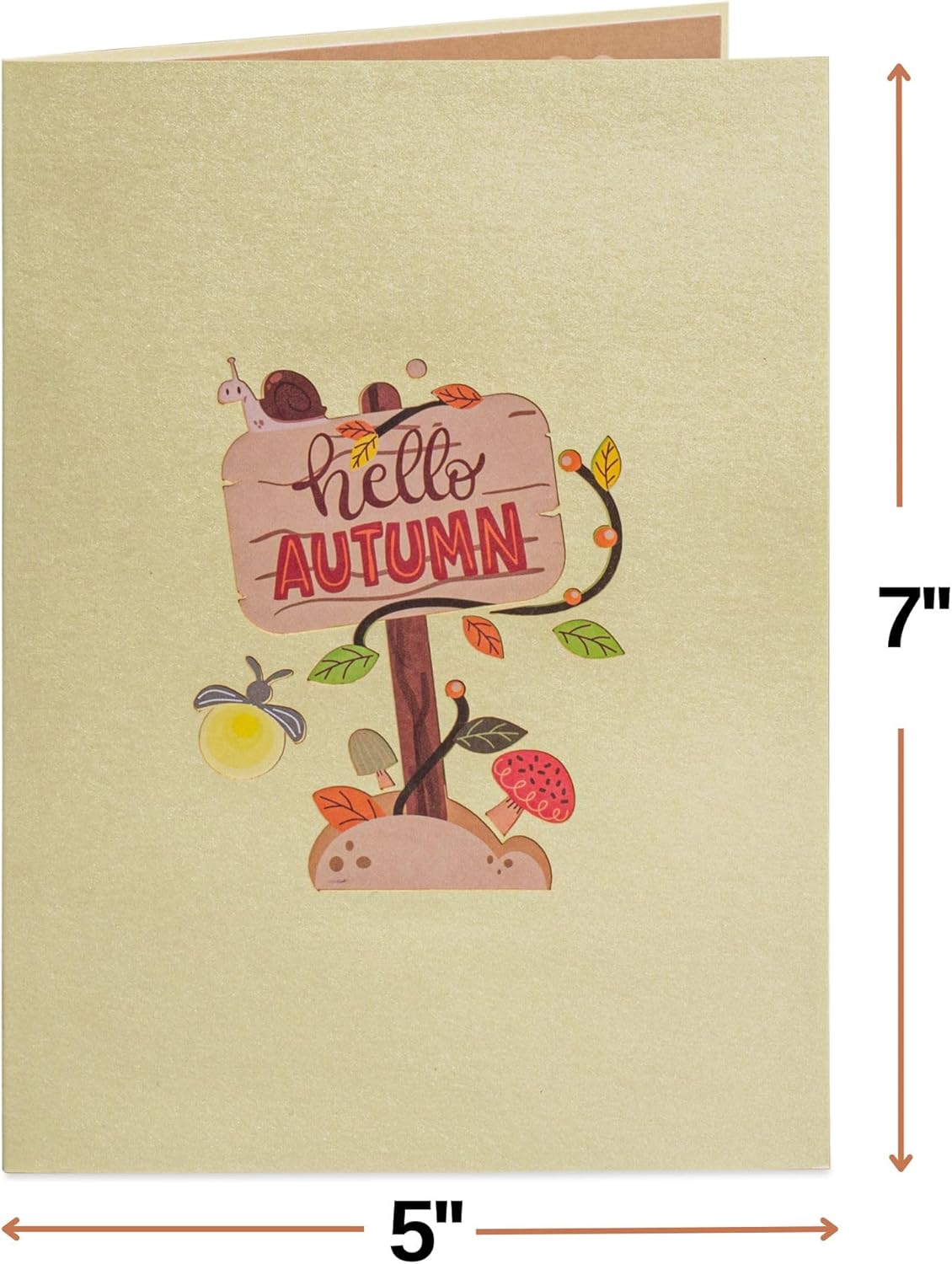 Paper Love Fall Pop Up Card, 3D Gnome, For Autumn, Thanksgiving - 5" x 7" Cover - Includes Envelope and Removable Note Tag