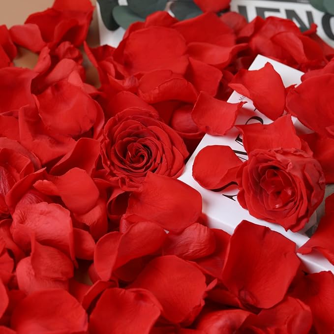 Dried Real Rose Petals, Natural Preserved Dry Flower Petals for Wedding Party Dinner Table Decor, Romantic Night for Her Set, Engagement, Bridal Shower, Valentine's Day, Confetti (1.4oz, Red)