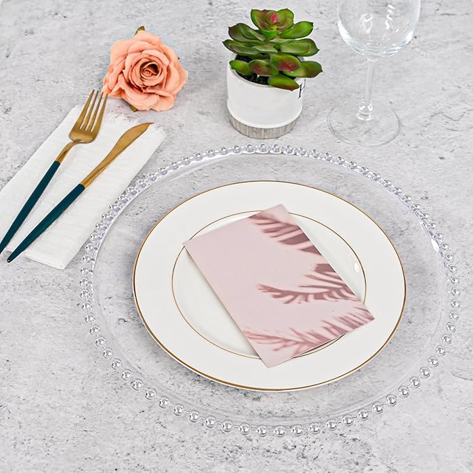 24 PCS Clear Round Charger Plates with Beaded Rim, 13 Inch Plastic Acrylic Plate, Plastic Round Beaded Dinner Decorative Service Plates for Wedding Party Event, Home Kitchen Tabletop(Sliver)