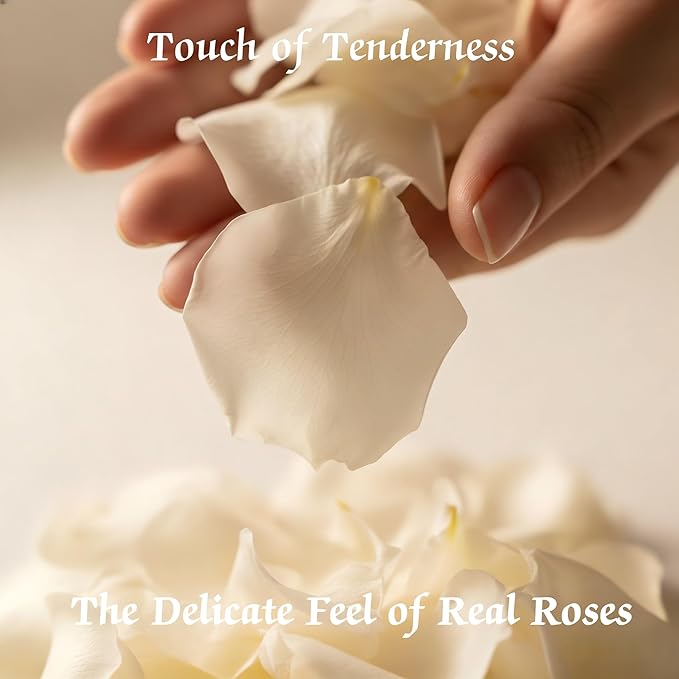 8.11oz Real White Rose Petals,Natural Petals For Wedding Party Decorations,Dried Flower Confetti,Rose Flower Girl,Table Centerpieces,Bridal Shower,Romantic Night,Proposal Decor