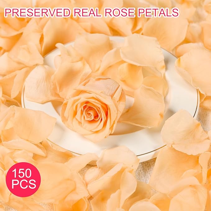 Dried Real Rose Petals, Natural Preserved Dry Flower Petals for Wedding Party Dinner Table Decor, Romantic Night for Her Set, Engagement, Bridal Shower, Valentine's Day, Confetti (1.6oz, Champagne)