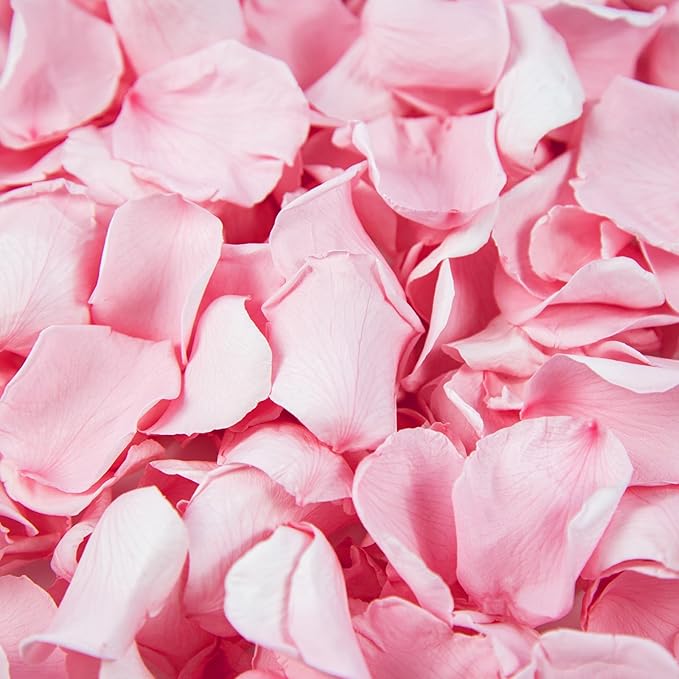 Eslibin 180 PCS Real Pink Dried Rose Petals Confetti for Wedding, 1.75oz Freeze Rose Petals for Romantic Pink Wedding Valentine's Day Proposal Decor, Dinner Centerpieces Party