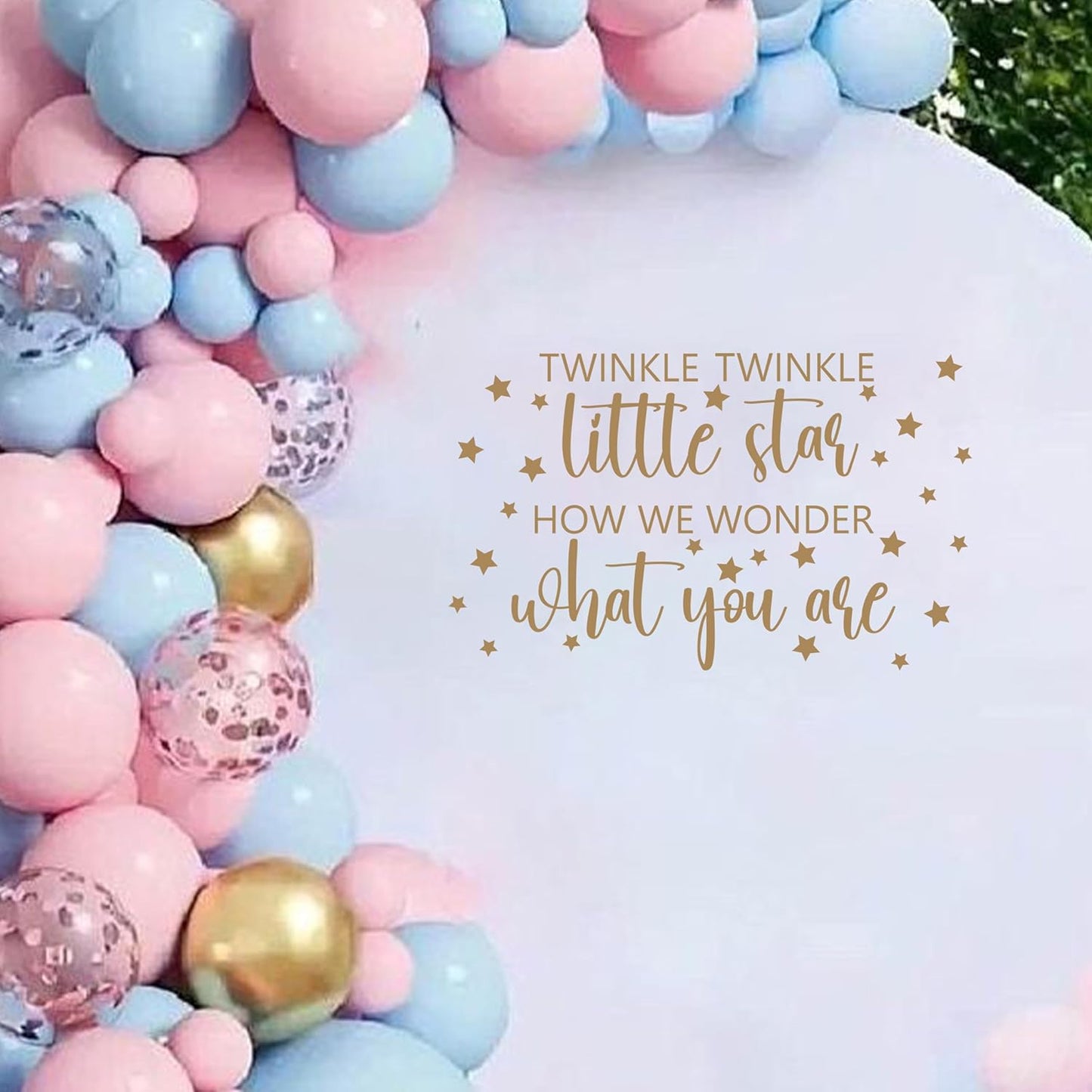 Twinkle Twinkle Little Star Gender Reveal Backdrop Sticker,Boy or Girl How We Wonder What You are Party Decorations, He or She Baby Shower Party Supplies (What You are Decal)