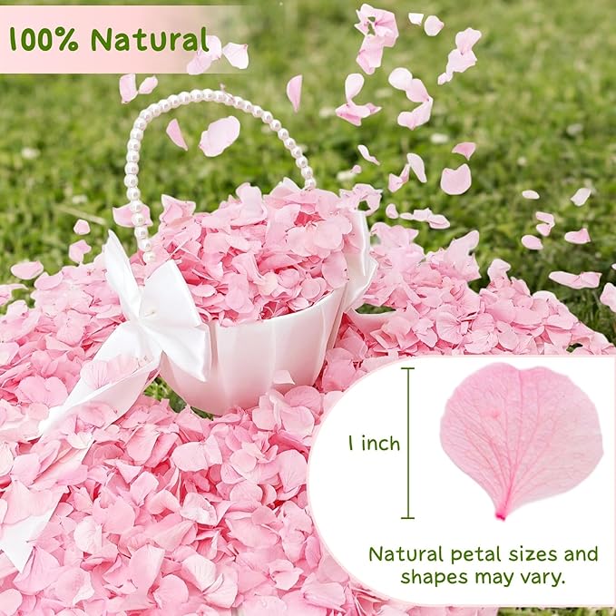 1500+ Real Dried Lvory White Hydrangea Petals - 0.88 oz Preserved Natural Flower Petals for Wedding Decor, Flower Girl, Party Confetti, Dinner Table Centerpieces, Handcrafts (Pink 1.06oz)