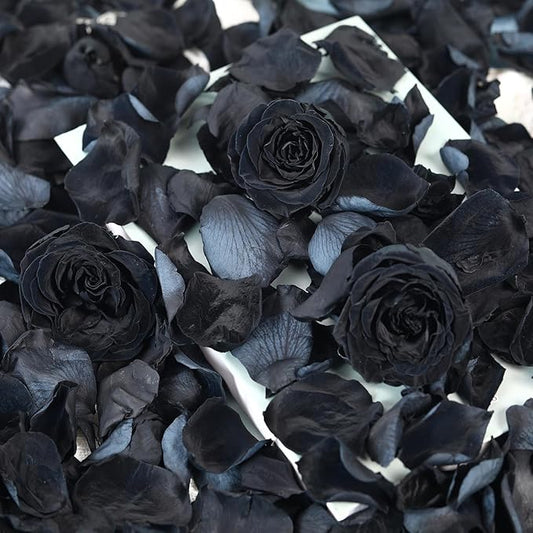Dried Real Rose Petals, Natural Preserved Dry Flower Petals for Wedding Party Dinner Table Decor, Romantic Night for Her Set, Engagement, Bridal Shower, Valentine's Day, Confetti (1.6oz, Black)