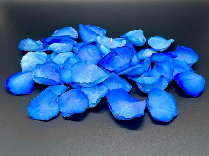 Rose Petals for Wedding Decoration, Bridal Toss, and Aisles, 10 cups, Freeze Dried, Use within 1 month (Blue)
